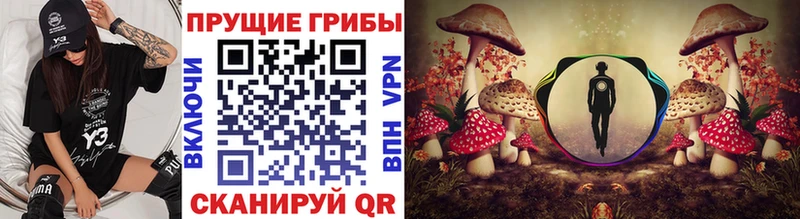 Псилоцибиновые грибы Psilocybine cubensis  как найти закладки  Спас-Деменск 
