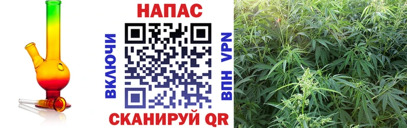 Каннабис план Спас-Деменск